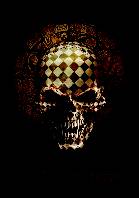 Alchemy Poster Flag Resurrection Skull