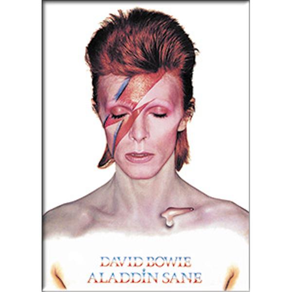 David Bowie Magnet Aladdin Sane Logo