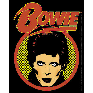 David Bowie Vinyl Sticker Rectangle Face Logo
