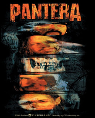 Pantera Vinyl Sticker Faces Collage Logo