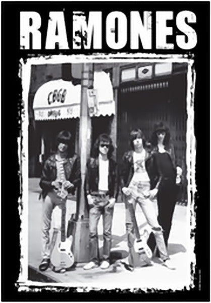 The Ramones Poster Flag CBGB's Photo Tapestry